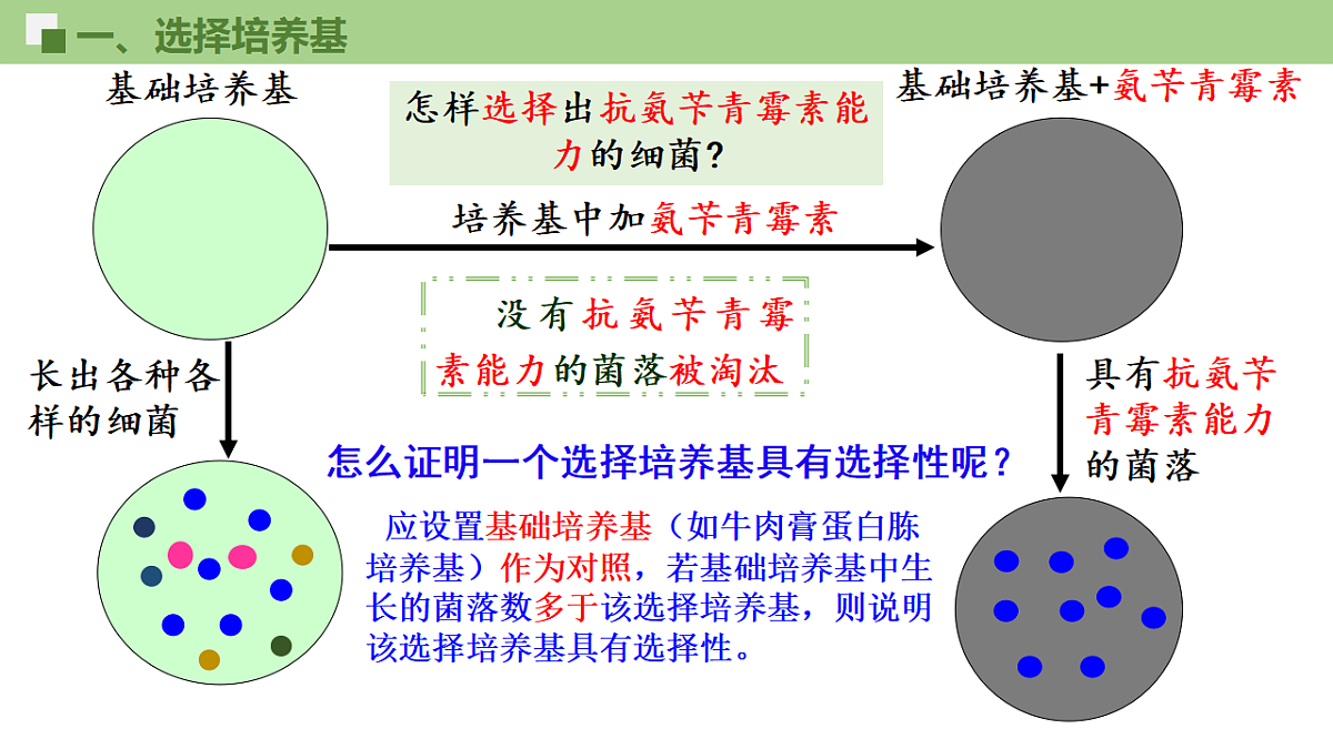 17746250第5页