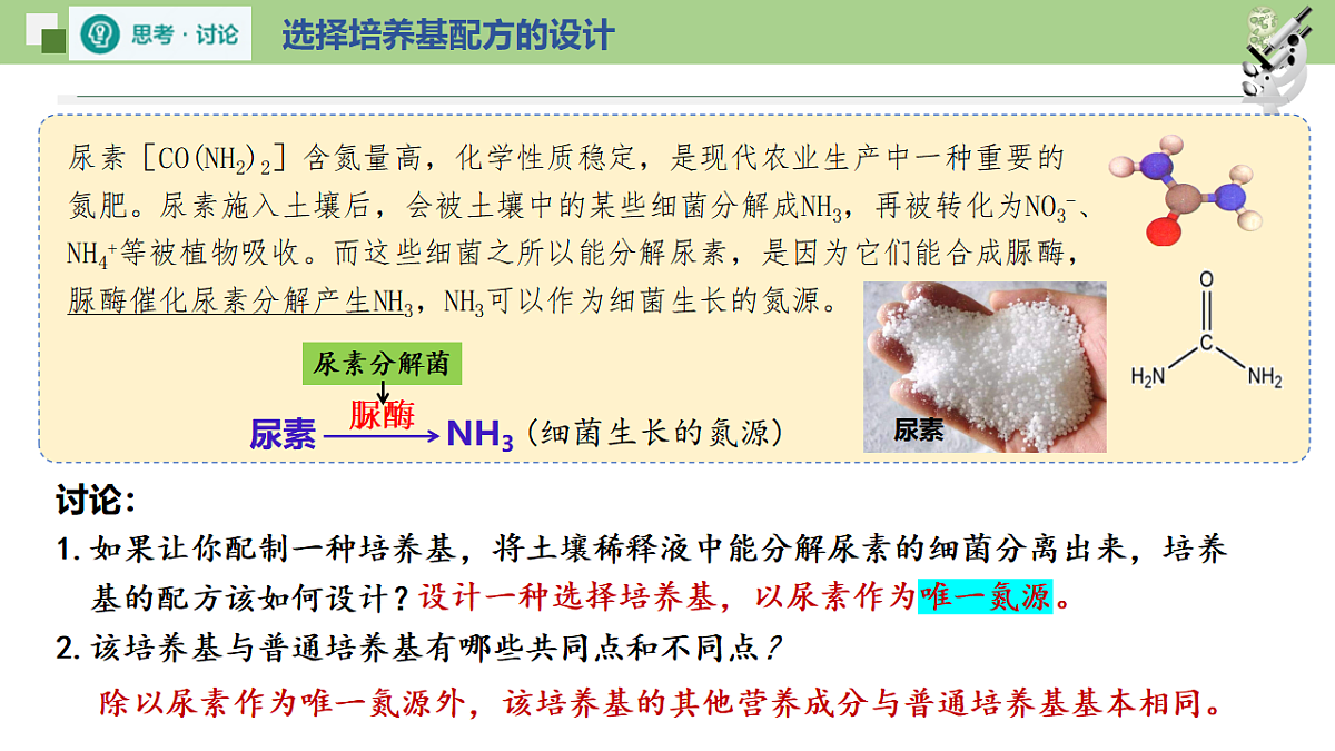 17746250第6页