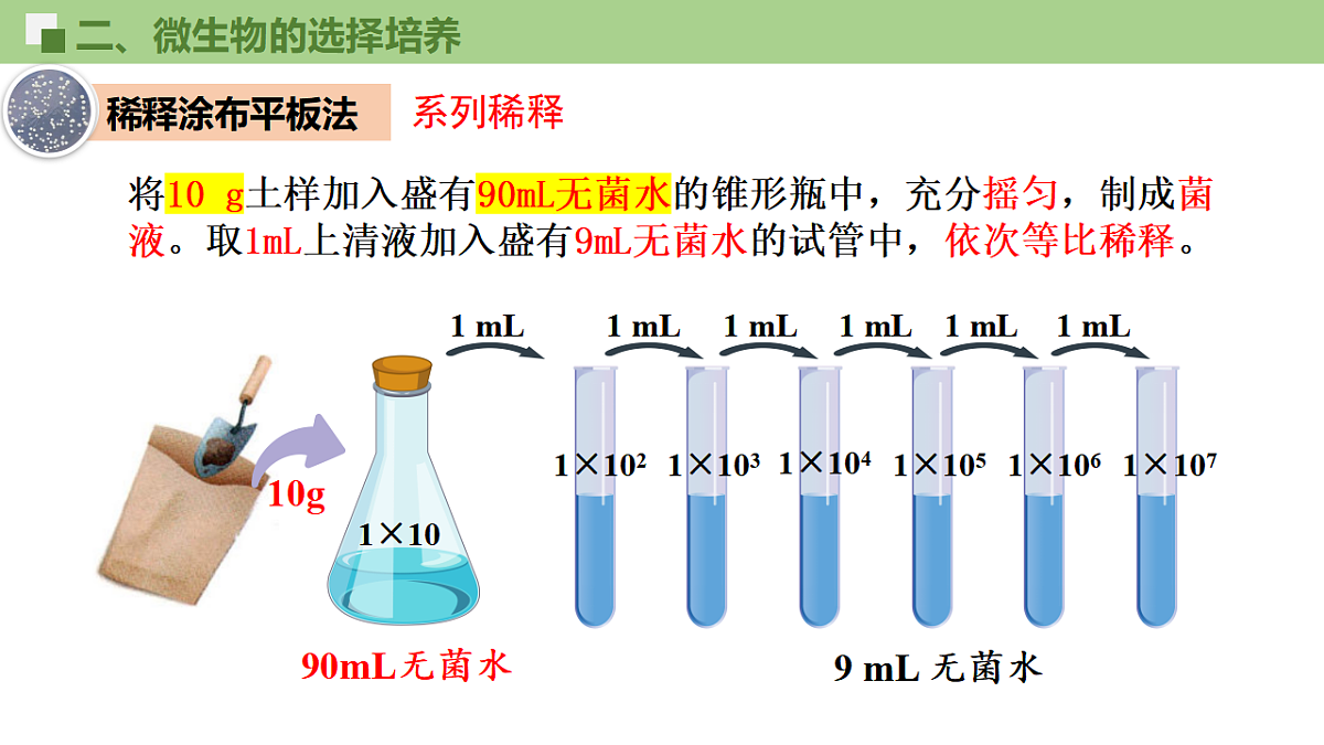17746250第8页