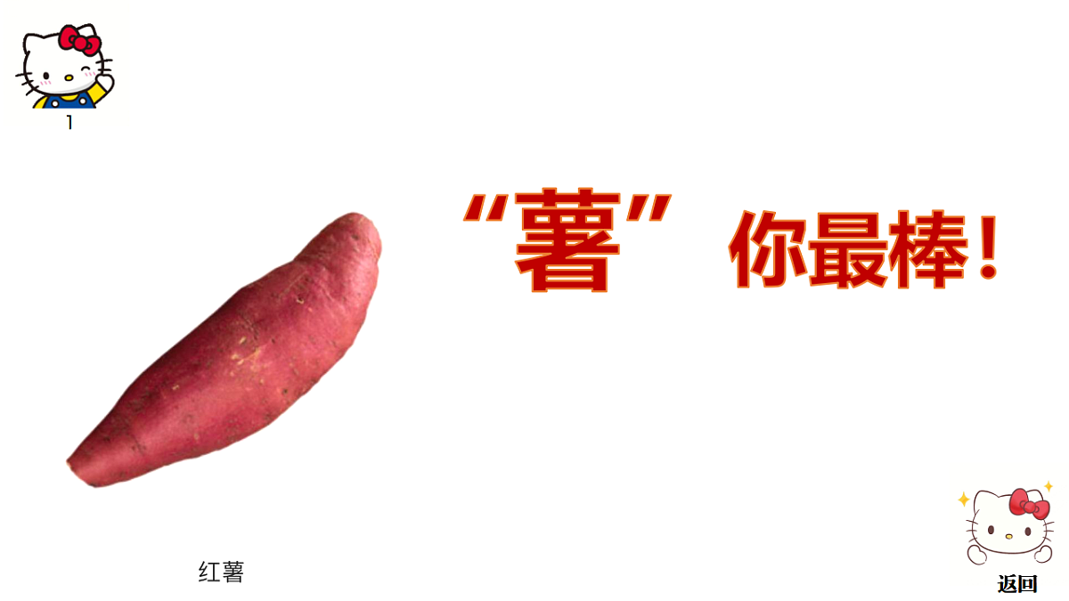 17746411第4页