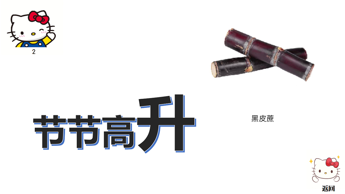 17746411第5页