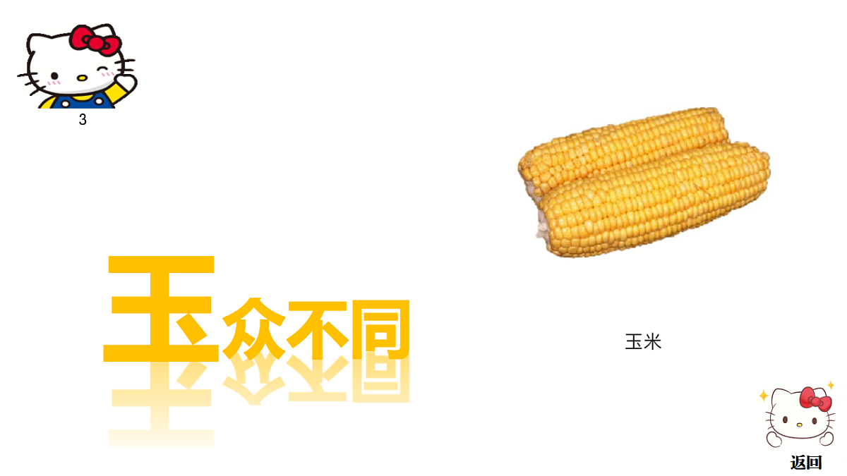17746411第6页