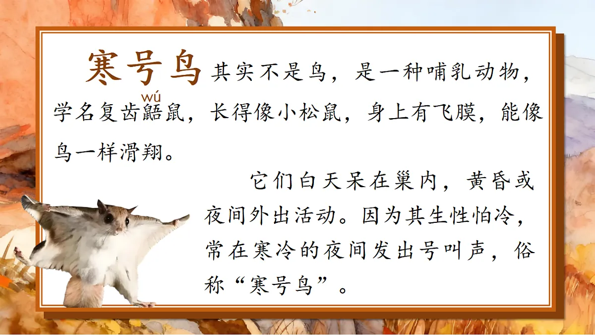 1.《寒号鸟》ppt课件第3页