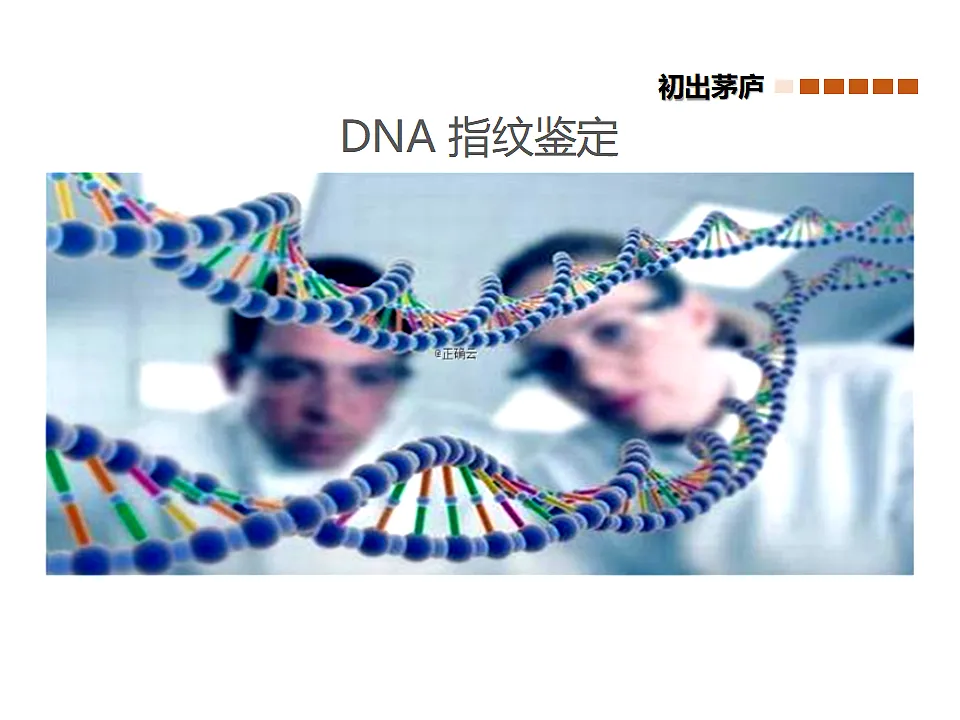 17747180第4页