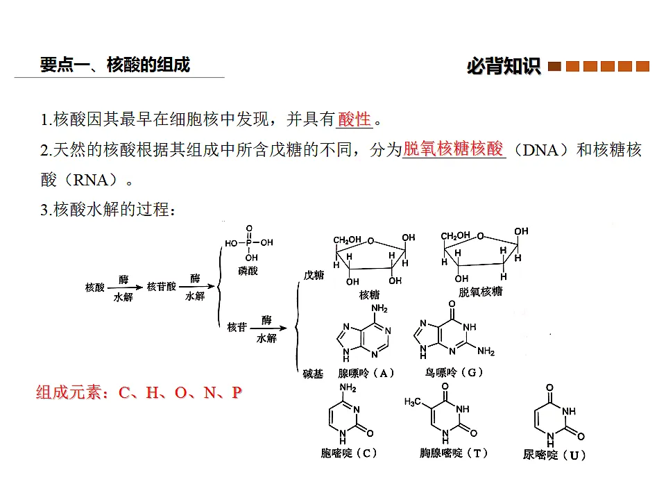 17747180第5页