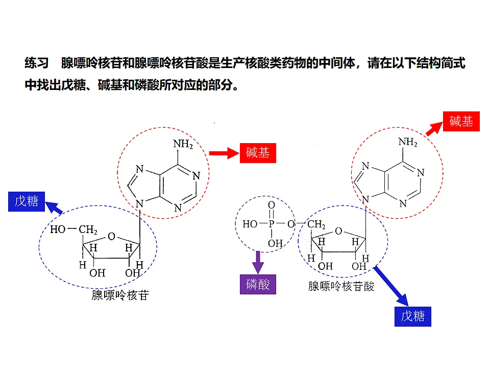 17747180第6页