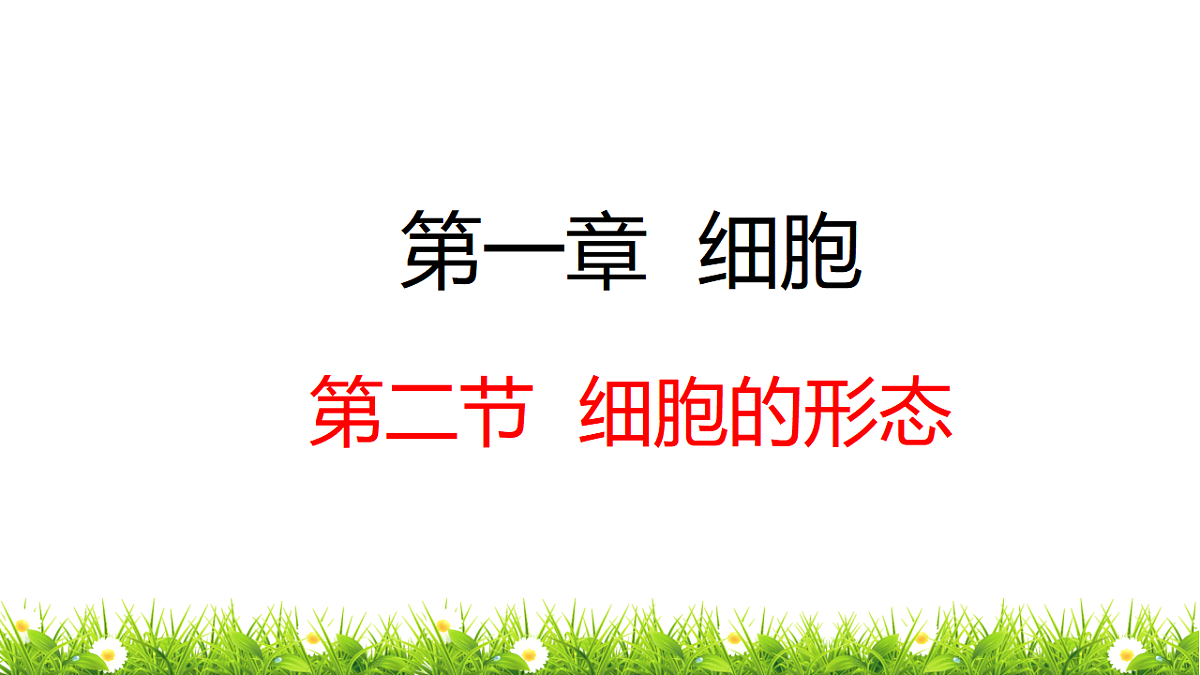 17748198第1页