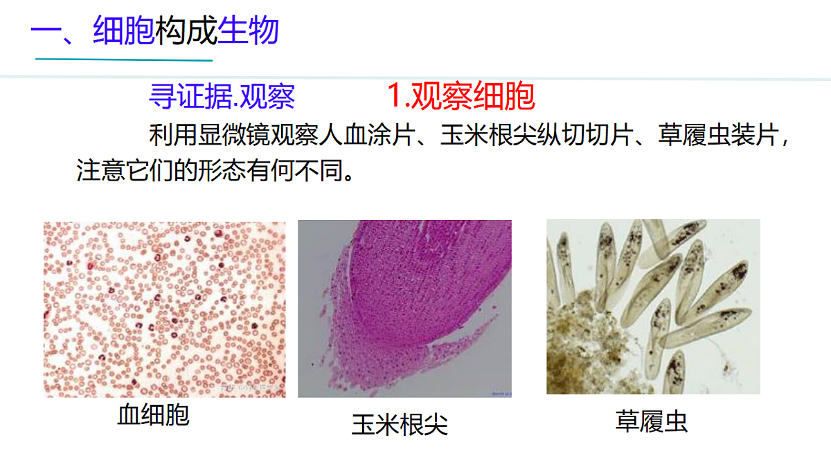 17748198第3页