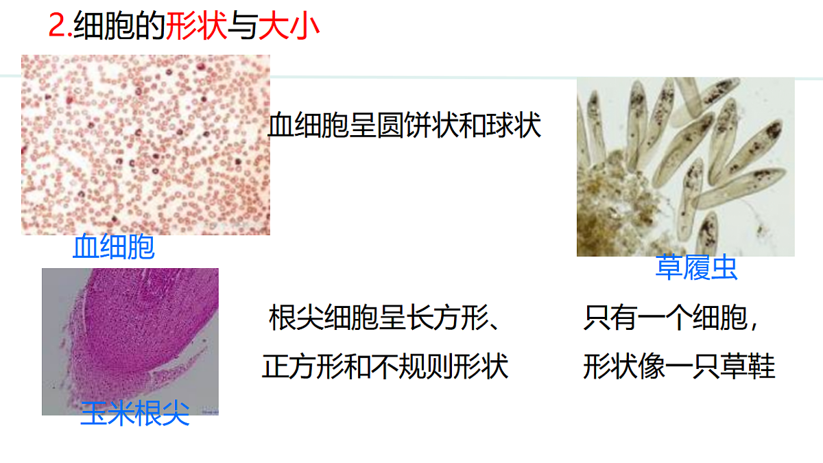17748198第4页