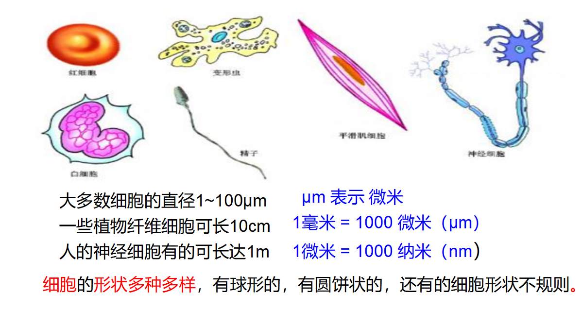 17748198第5页