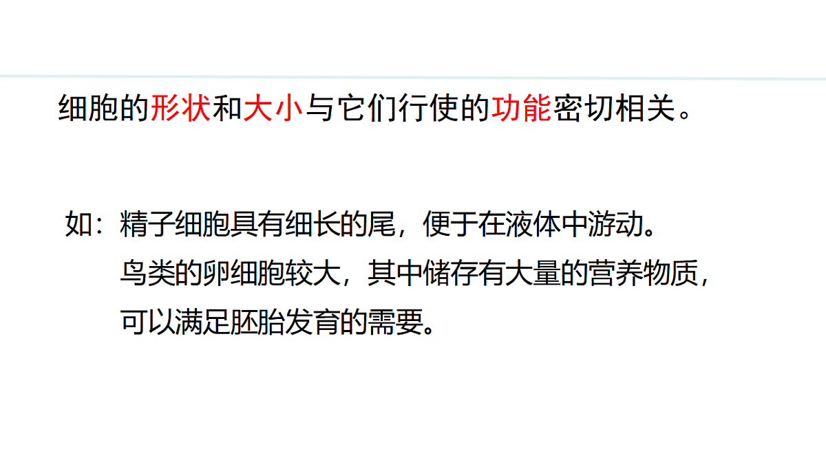 17748198第6页