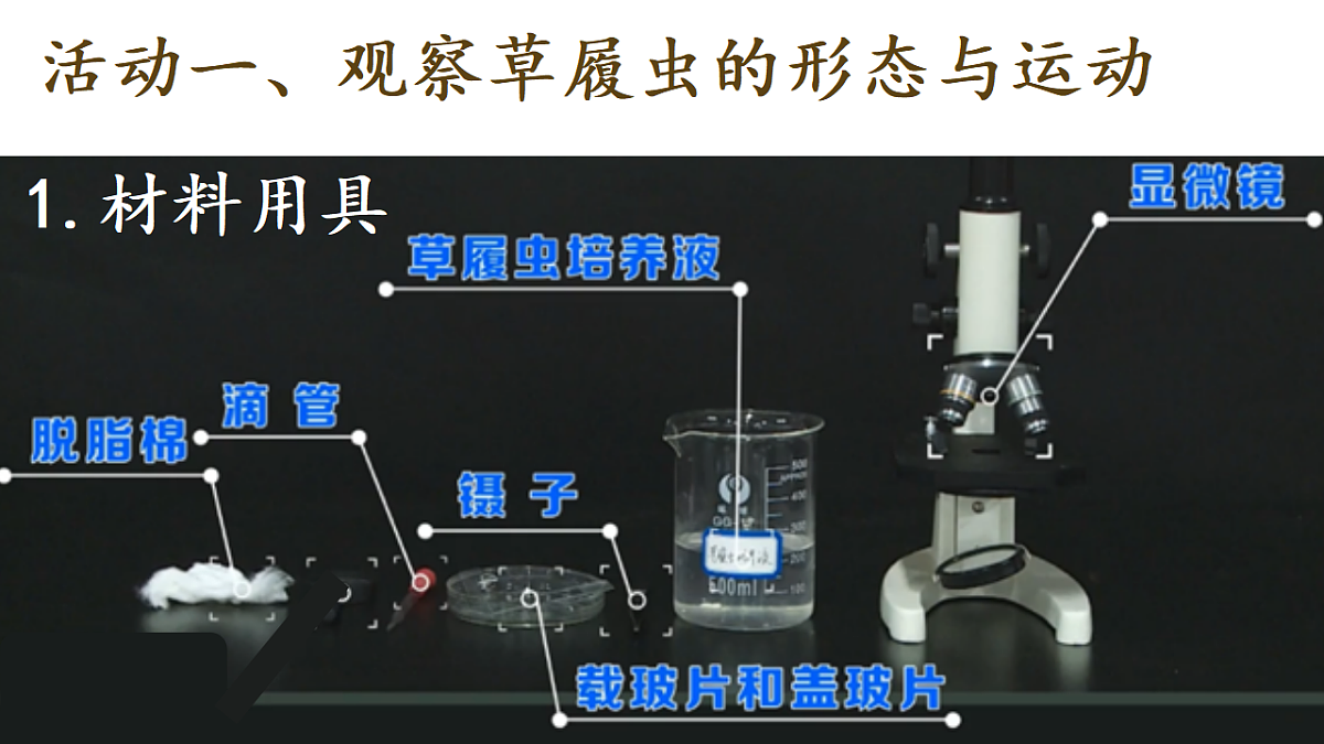 17748198第7页