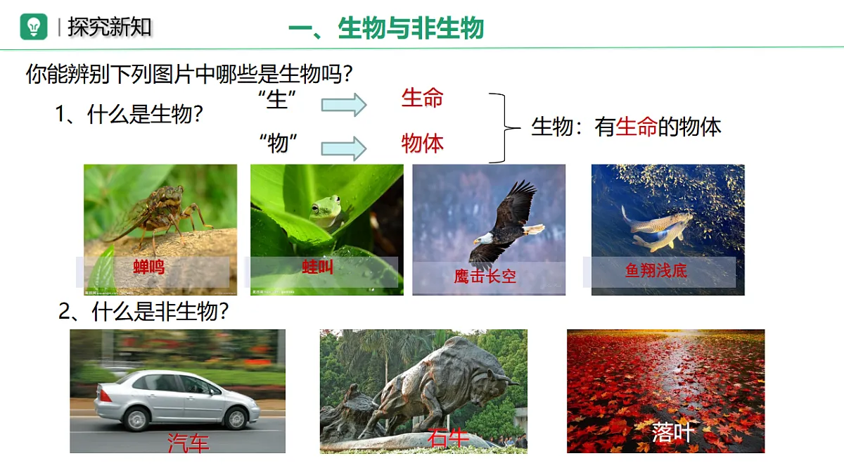 17749201第3页