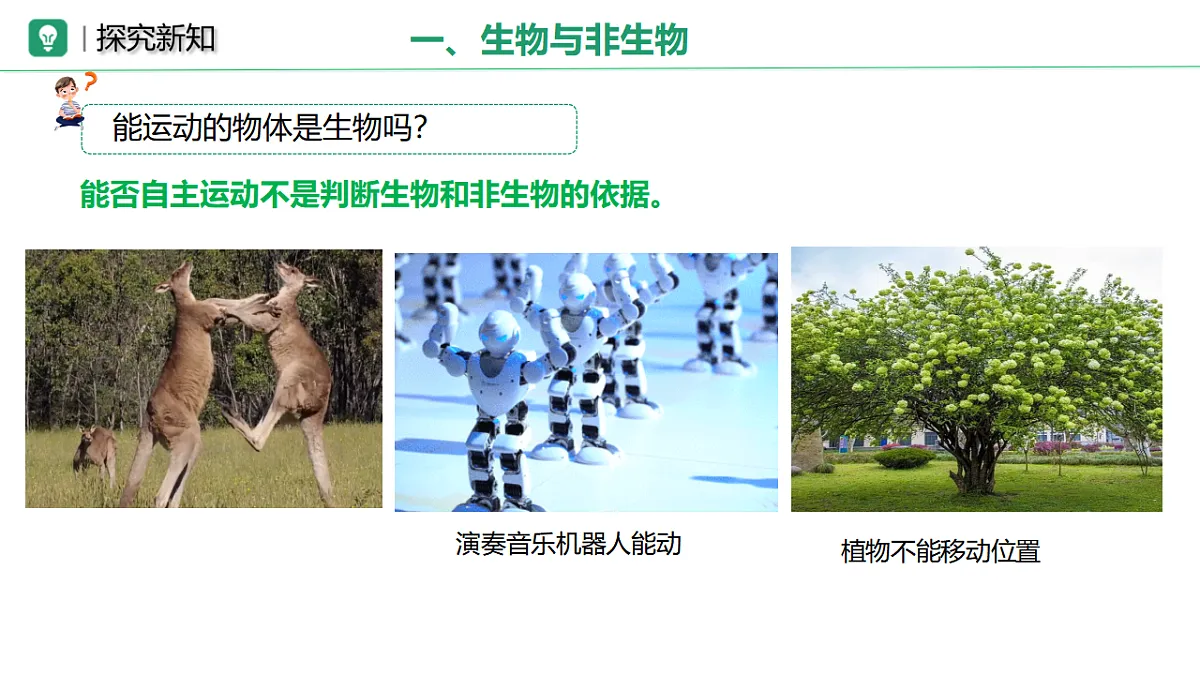 17749201第4页