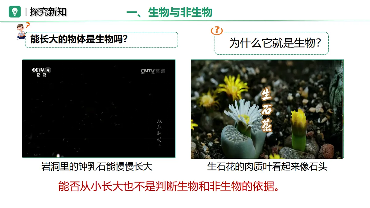17749201第5页