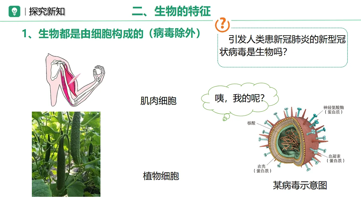 17749201第6页