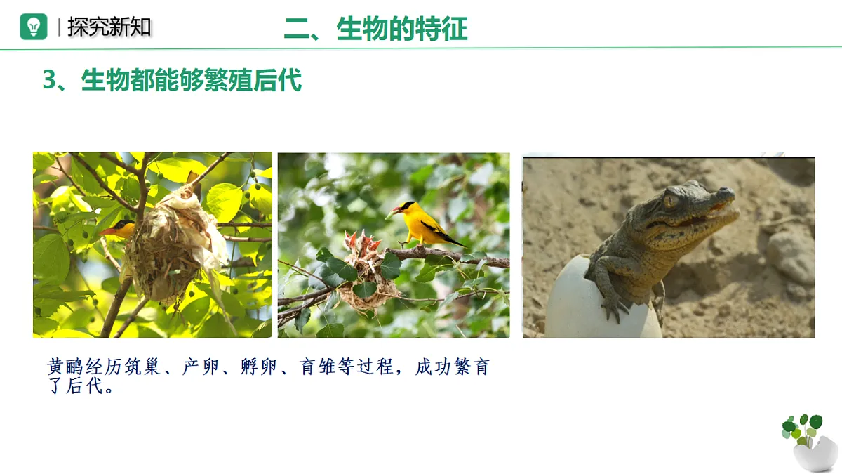 17749201第8页
