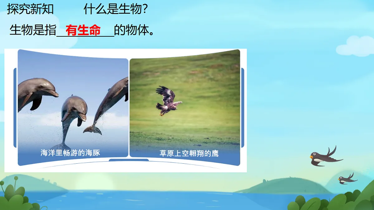 17749202第4页