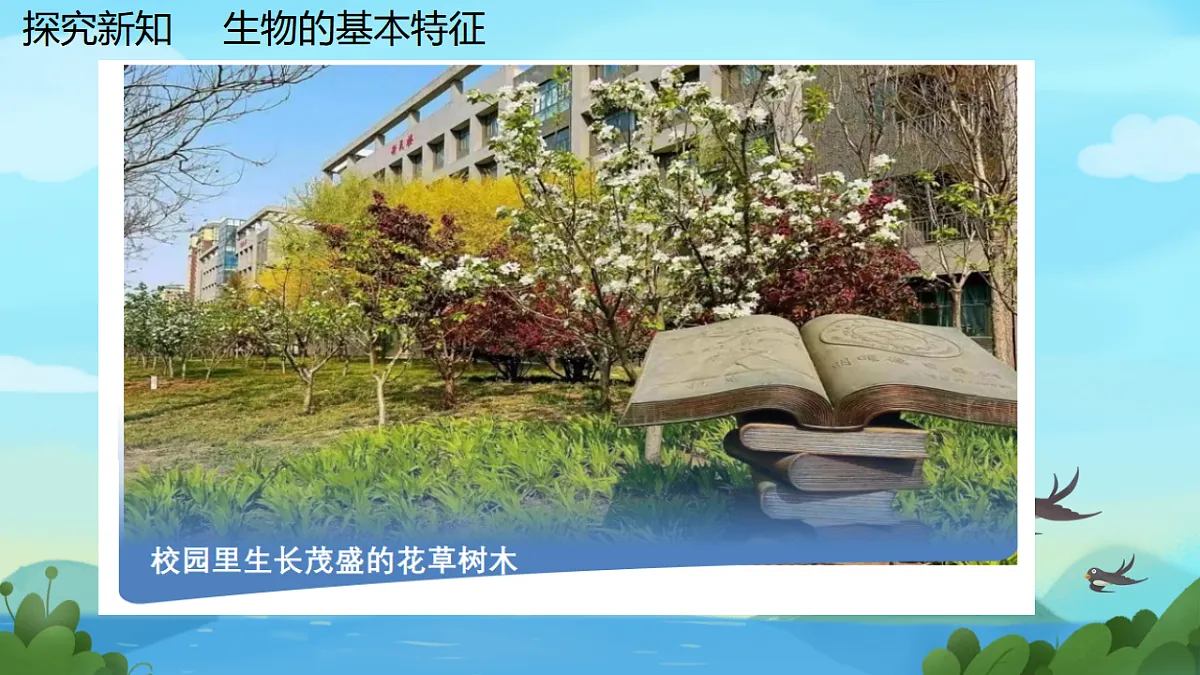 17749202第5页