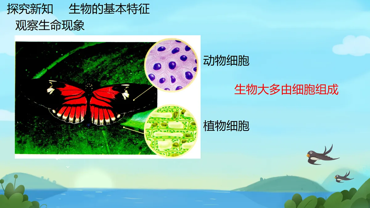 17749202第7页