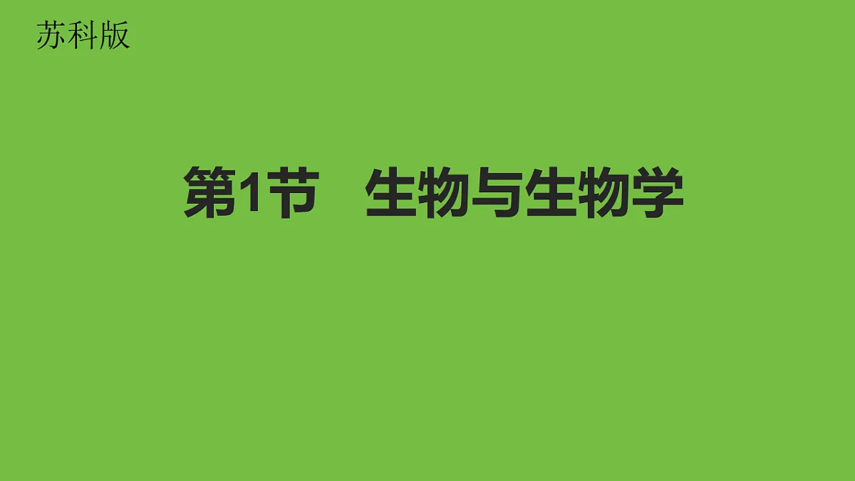 17749226第1页