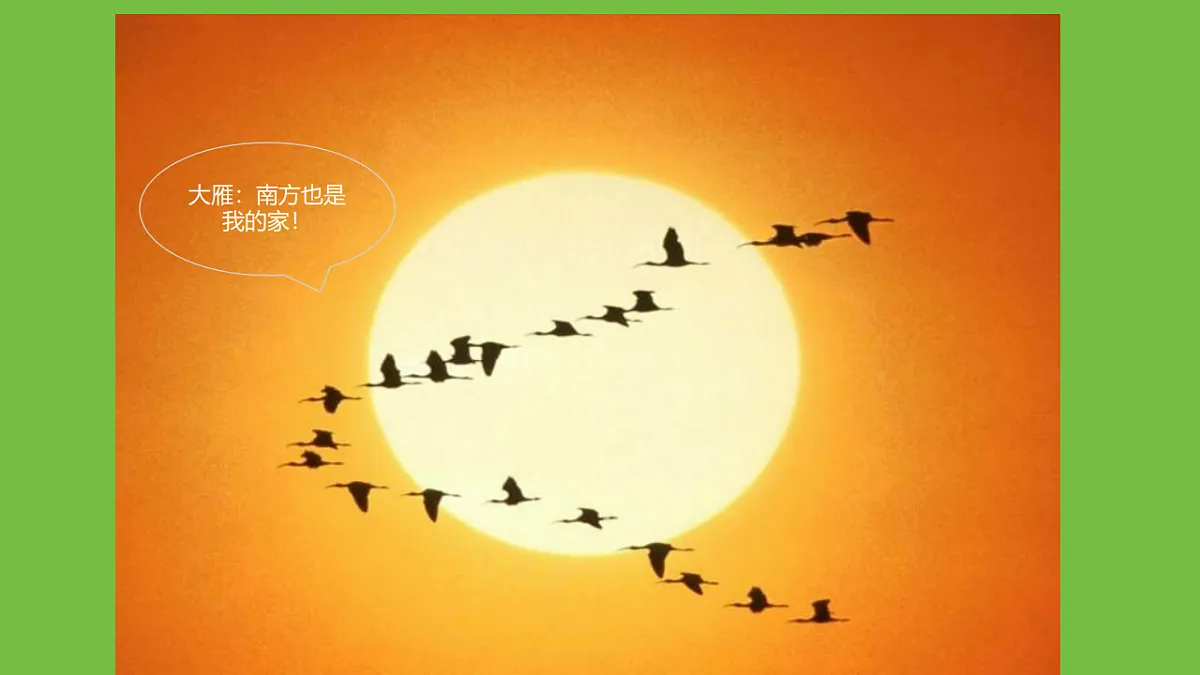 17749226第4页