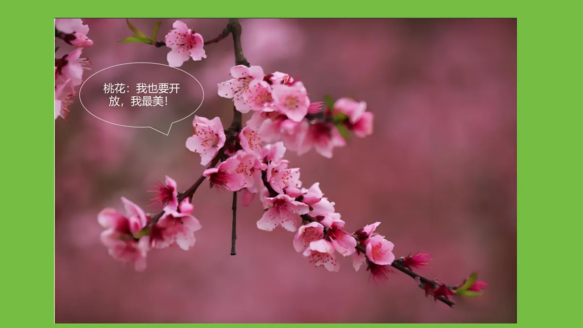 17749226第6页