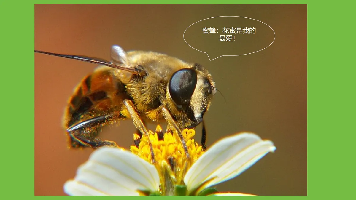 17749226第7页