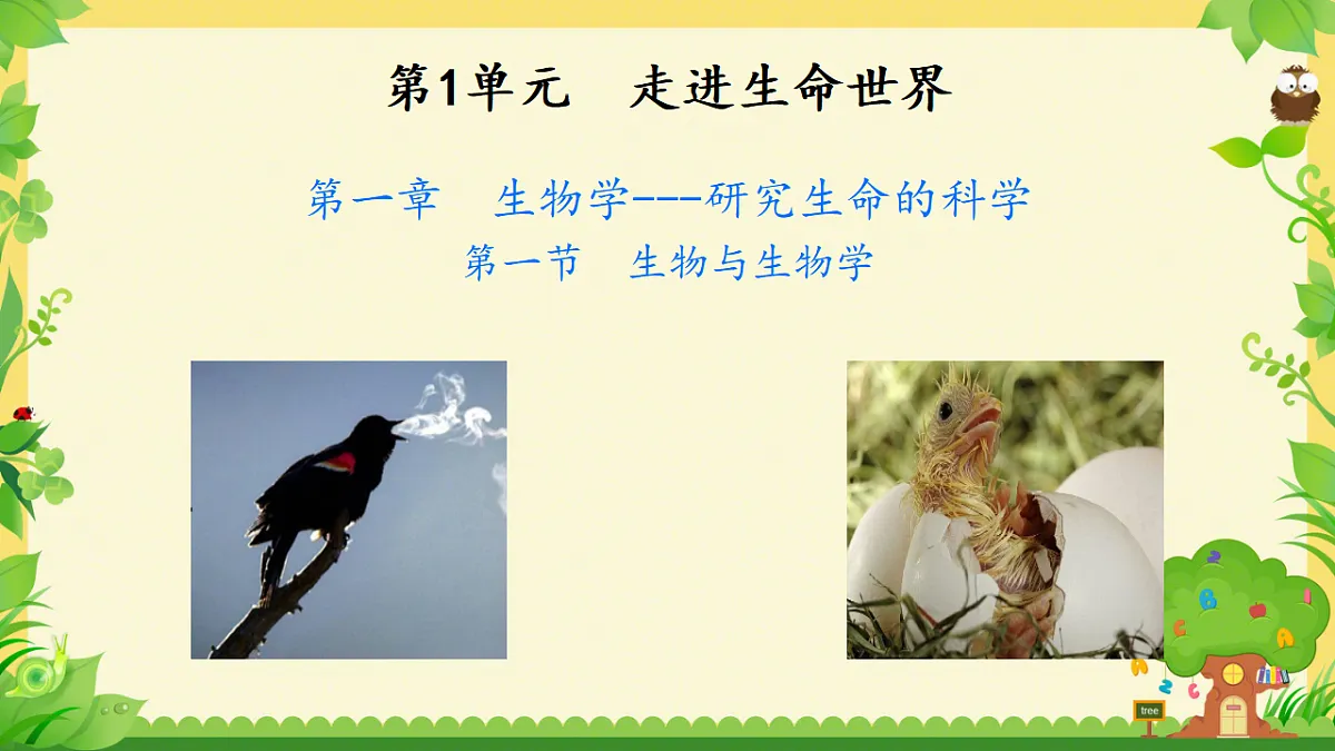 17749227第1页