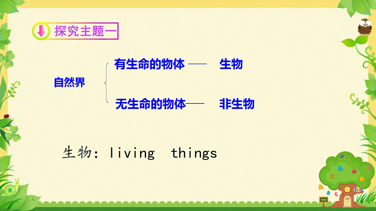 17749227第3页