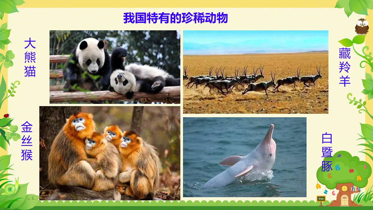 17749227第5页