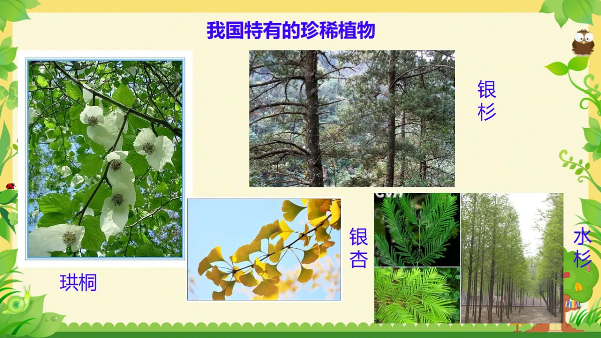 17749227第8页