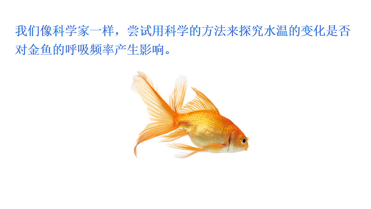 17751483第4页