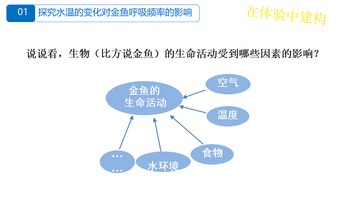17751483第6页