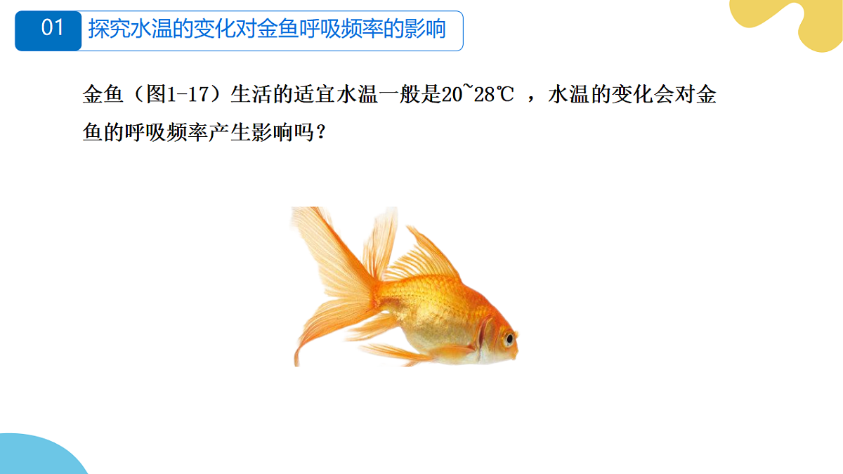 17751483第7页