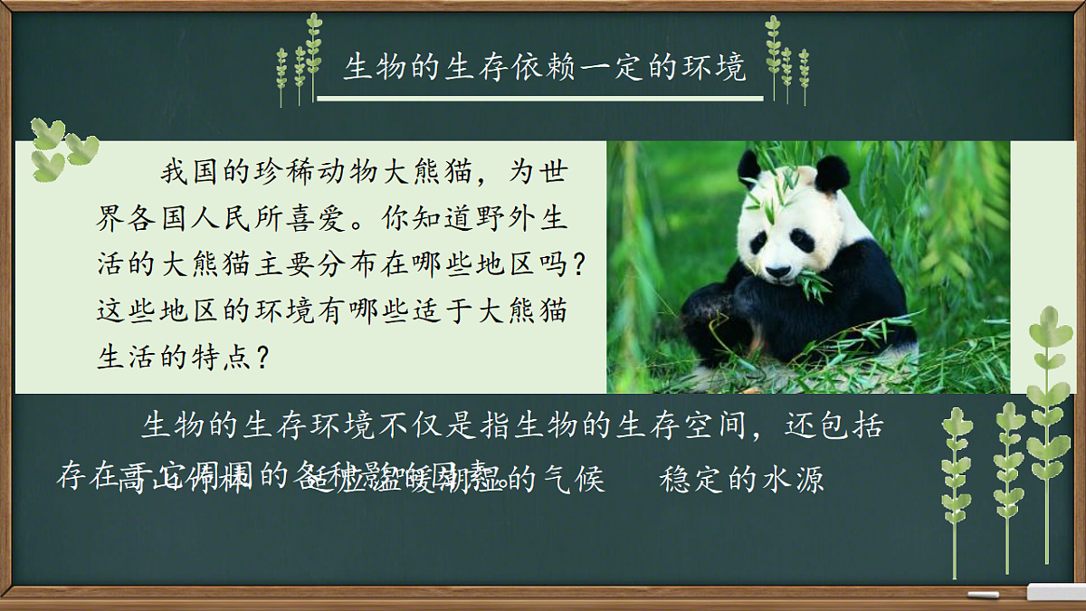 17751635第4页