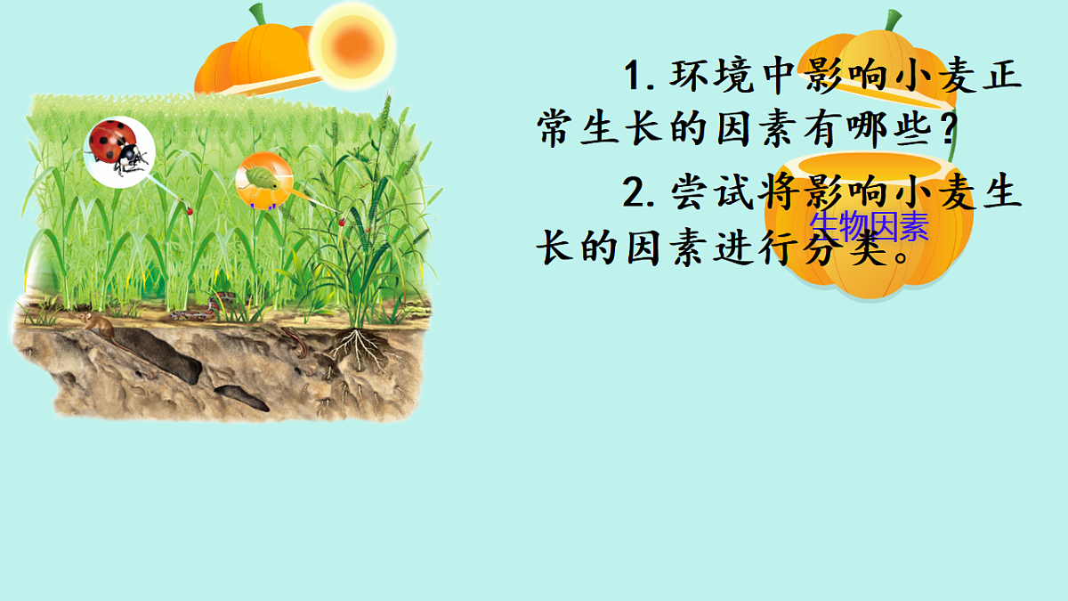 17751635第5页