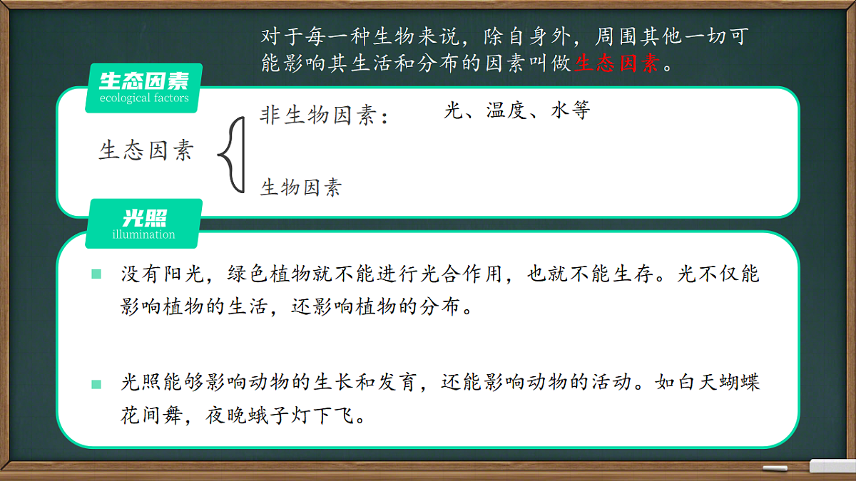 17751635第6页