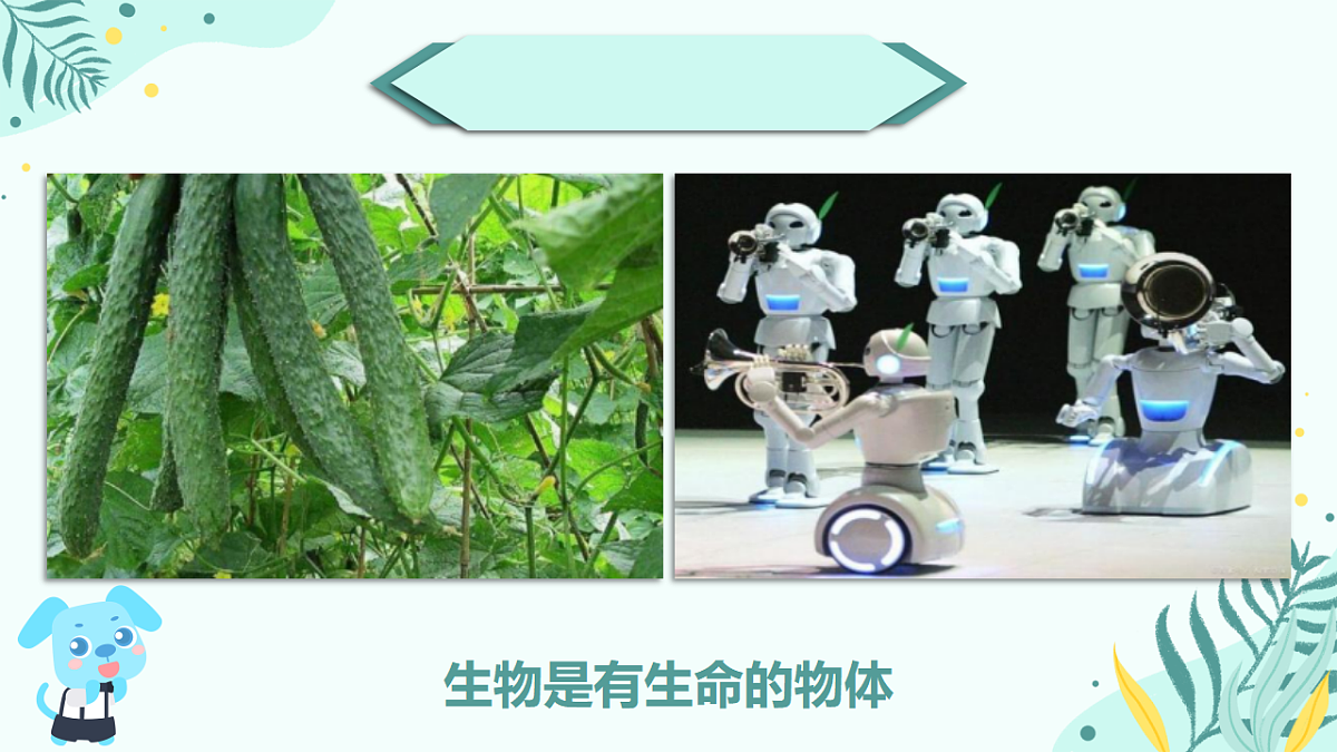17751674第2页