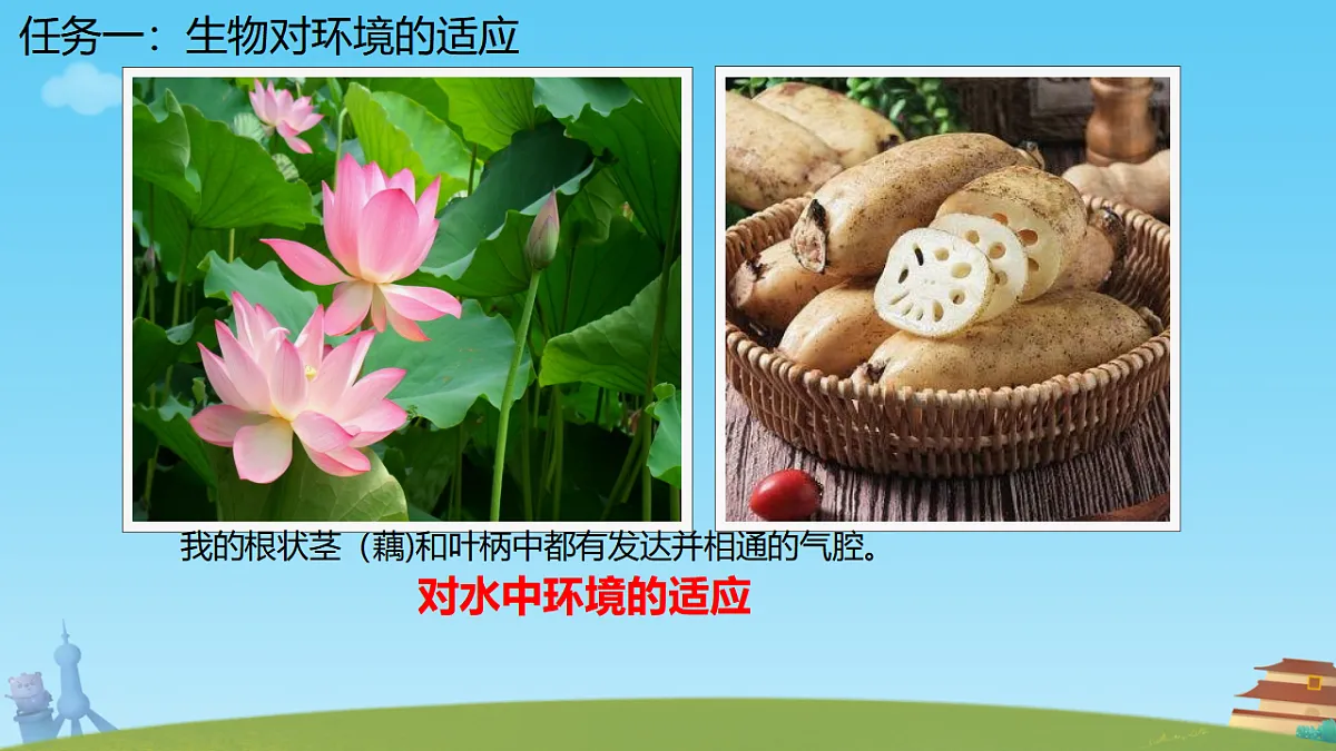 17751675第4页