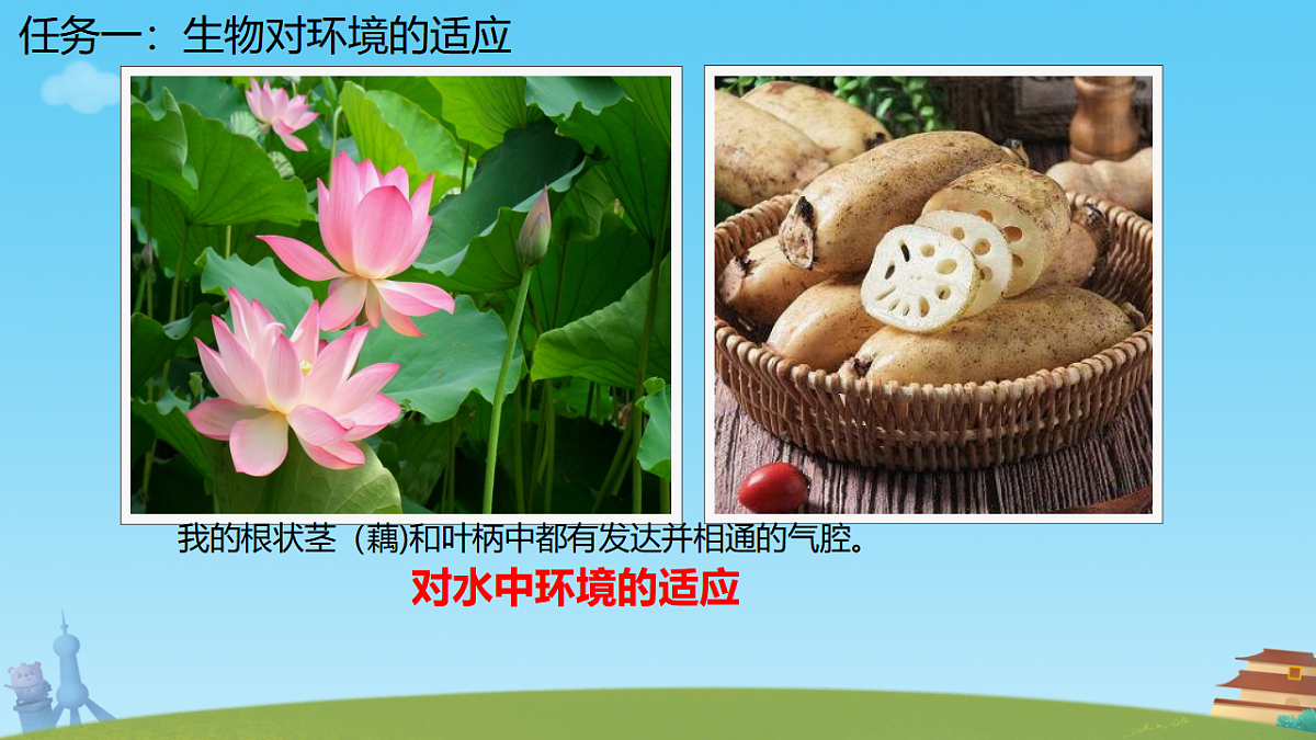 17751675第4页