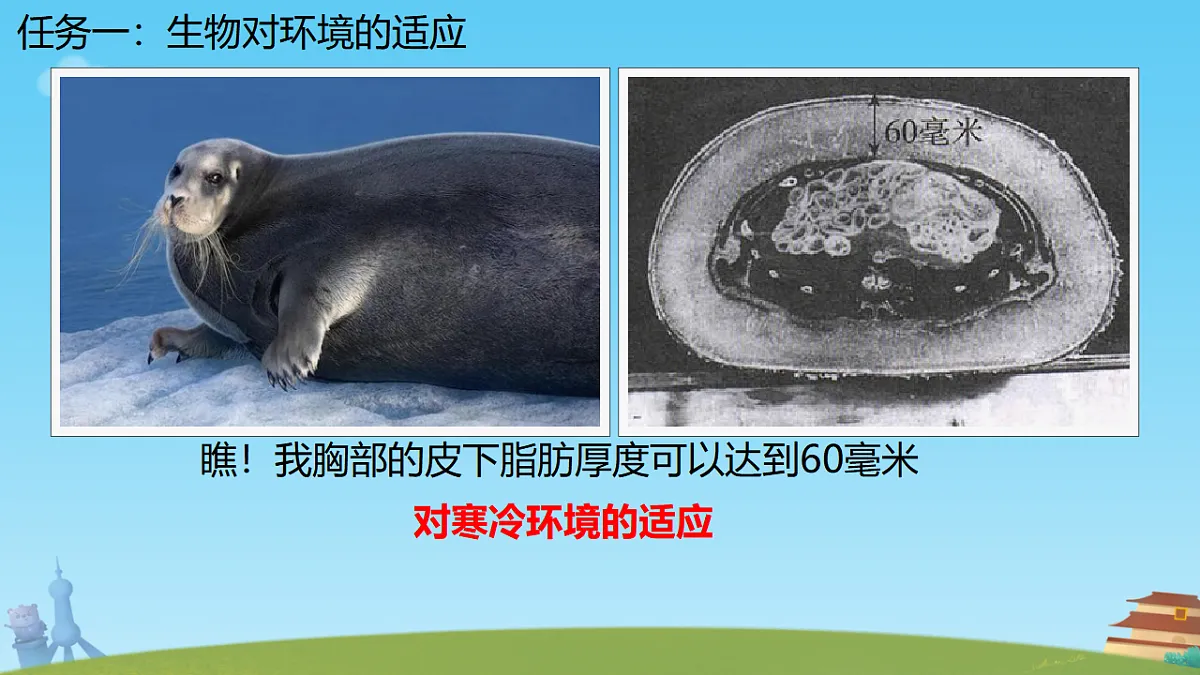 17751675第5页