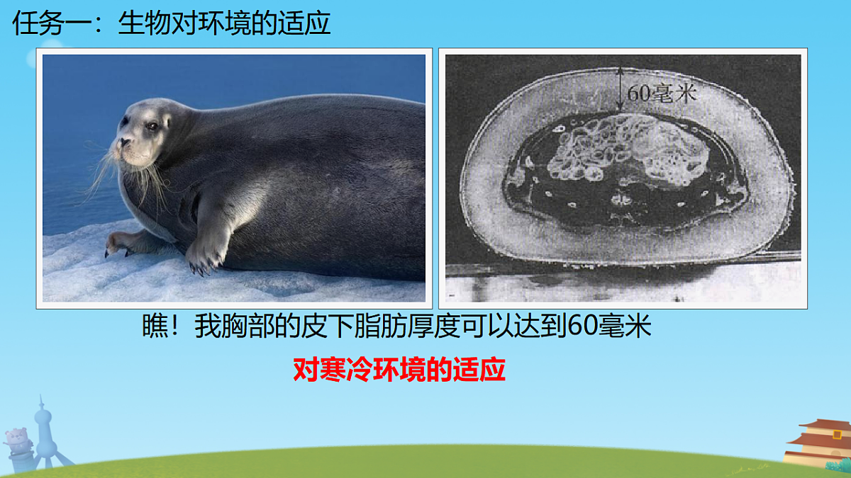 17751675第5页