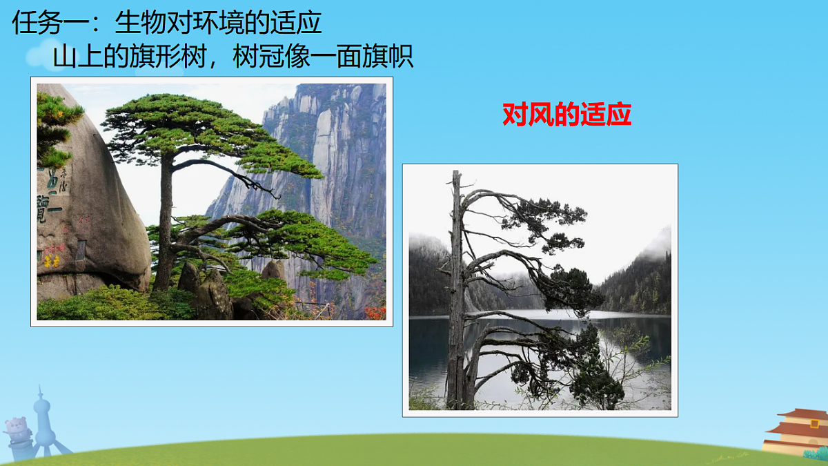17751675第6页