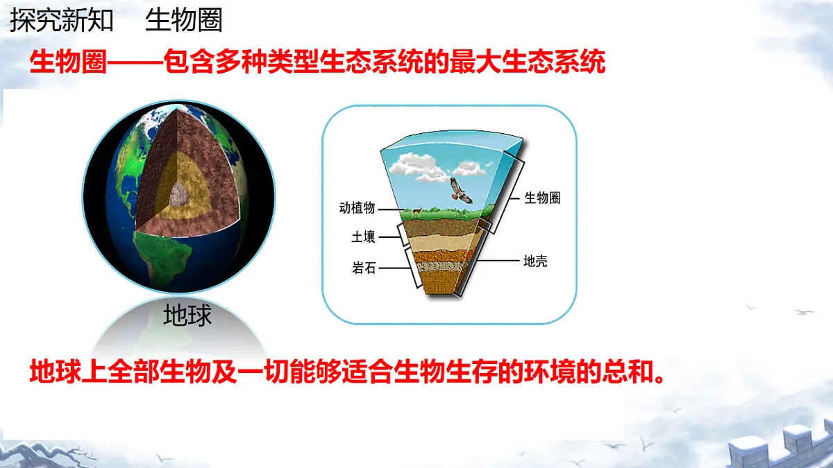 17751886第6页