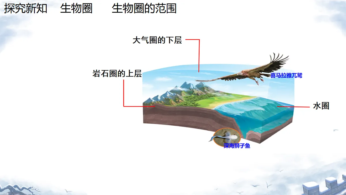 17751886第7页
