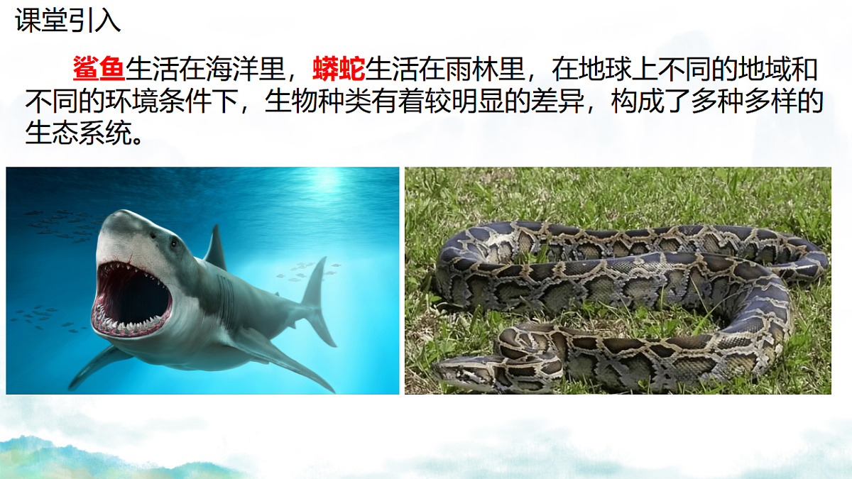 17751887第3页