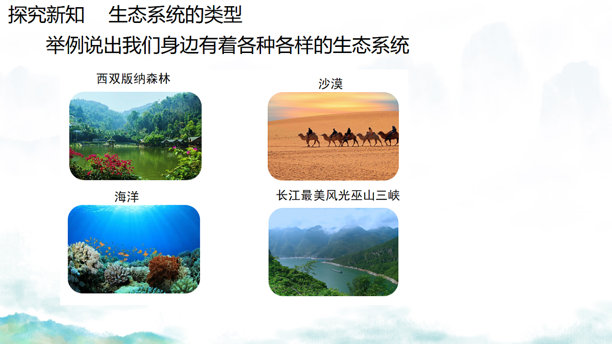 17751887第5页
