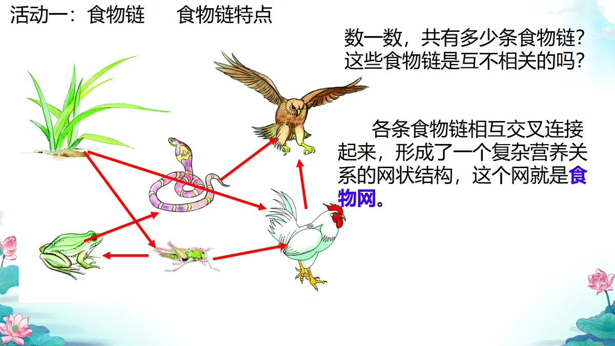 17751983第6页