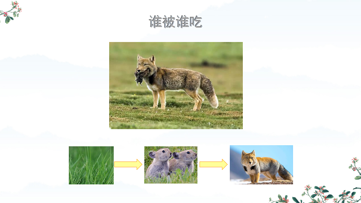 17752584第2页
